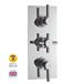Hudson Reed Tec Pura Plus 2 Outlet Concealed Thermostatic Shower Valve