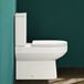 Lorraine Rimless Back To Wall Close Coupled Toilet & Wrap Over Soft Close Seat 
