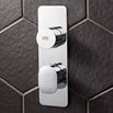 Crosswater Dial Pier 1 Outlet Concealed Thermostatic Shower Valve - Portrait