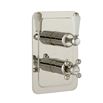 Butler & Rose Caledonia Lever Two Outlet Concealed Thermostatic Shower Valve - Nickel