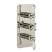 Butler & Rose Caledonia Lever Two Outlet 3 Control Concealed Thermostatic Shower Valve - Nickel