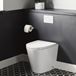 Harbour Clarity Back to Wall Rimless Toilet & Wrap Over Soft Close Seat 