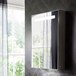 Bauhaus Allure 500 LED Mirror Cabinet