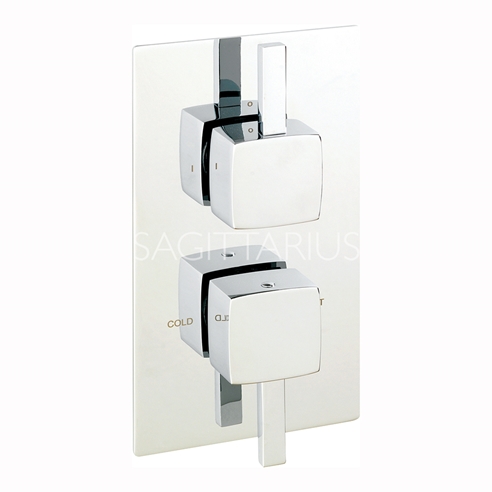 Sagittarius Axis 2 Outlet Concealed Thermostatic Shower Valve