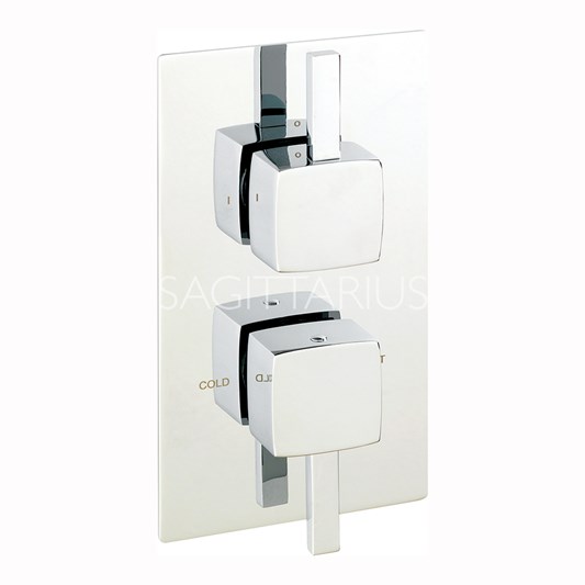 Sagittarius Axis 2 Outlet Concealed Thermostatic Shower Valve