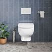Harbour Serenity Rimless Wall Hung Toilet with Soft Close Seat - 495mm Projection