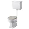Butler & Rose Darcy Traditional Low Level Toilet, Cistern & Flush Pipe Kit with Dovetail Grey Toilet Seat