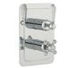 Butler & Rose Caledonia Lever 2 Outlet 2 Control Concealed Thermostatic Shower Valve