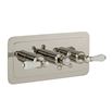 Butler & Rose Caledonia Lever Two Outlet Horizontal Concealed Thermostatic Shower Valve - Nickel