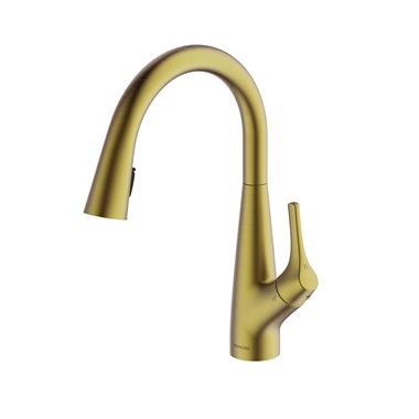 Clearwater Rosetta Single Lever Mono Pull Out Kitchen Mixer and Cold Filtered Water Tap