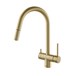 Clearwater Toledo Twin Lever Pull Out Mono Kitchen Mixer and Cold Filtered Water Tap - Brushed Brass