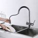 Clearwater Toledo Twin Lever Pull Out Mono Kitchen Mixer and Cold Filtered Water Tap - Polished Chrome