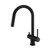 Clearwater Toledo Twin Lever Pull Out Mono Kitchen Mixer and Cold Filtered Water Tap - Matt Black