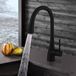 Crosswater Cucina Cook Mono Kitchen Mixer with Concealed Dual Function Pull Out Spray - Matt Black