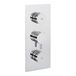 Crosswater Dial Kai Lever 2 Outlet Concealed Thermostatic Shower Valve - Portrait
