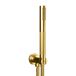 Crosswater Union Shower Handset with Wall Outlet and Hose - Brushed Brass