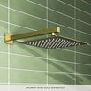 Harbour Status 305mm Brushed Brass Square Shower Arm