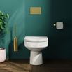 Lorraine Rimless Back To Wall Toilet & Wrap Over Soft Close Seat