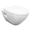 Dominica Wall Hung Toilet with Soft Close Seat