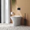 Harbour Acclaim Rimless Back To Wall Toilet & Soft Close Seat