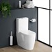 Harbour Clarity Fully Back to Wall Toilet & Soft Close Seat