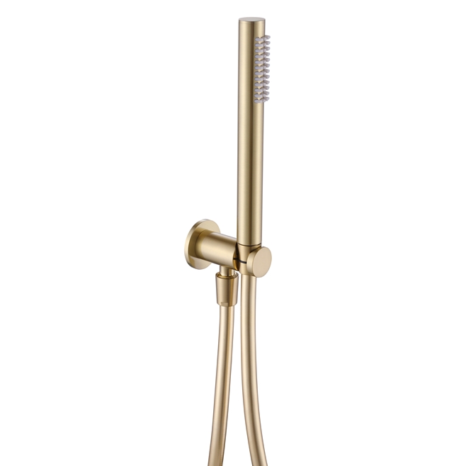 Harbour Clarity Round Shower Handset with Wall Outlet & Hose - Brushed Brass