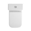 Harbour Icon Modern Fully Back to Wall Toilet & Soft Close Seat