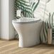 Harbour Identity Back to Wall Toilet & Wafer Thin Soft Close Seat