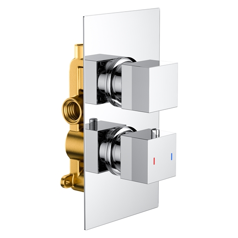 Harbour Status 2 Outlet Concealed Thermostatic Shower Valve