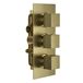 Harbour Status Brushed Brass 2 Outlet Thermostatic Concealed Shower Valve (Three Handle)