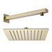 Habour Status Square Shower Head with Shower Arm - Brushed Brass