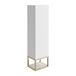 Harbour Virtue 1100mm Wall Mounted Tall Storage Cabinet with Brushed Brass Frame Shelf
