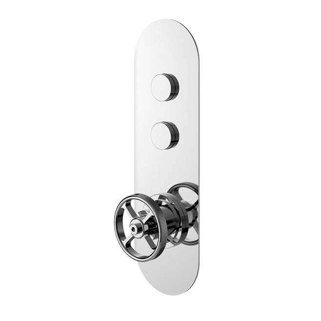Hudson Reed Revolution Industrial 2 Outlet Push Button Concealed Thermostatic Shower Valve