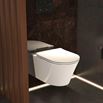 Imex Arco Rimless Wall Hung Toilet and Soft Close Seat