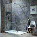 Harbour i8 900 8mm 2m Tall Easy Clean Wetroom Panel