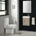 Drench Minnie 400mm Wall Mounted Cloakroom Vanity Unit & Basin - Driftwood