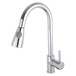 nuie Swan Neck Pull Out Kitchen Spray Tap 