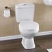 Phoebe Modern Close-Coupled Toilet with Seat