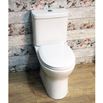 Harbour Rimless Toilet with Soft Close Seat