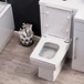 Creation Square Back to Wall Toilet with Soft Close Seat