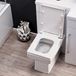 Creation Square Back to Wall Toilet with Soft Close Seat