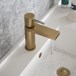 The Tap Factory Vibrance Brushed Brass Mono Basin Mixer and Basin Waste - 6 Handle Colours Available