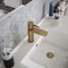 The Tap Factory Vibrance Brushed Brass Mono Basin Mixer with Brushed Copper Handle and Basin Waste