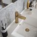 The Tap Factory Vibrance Brushed Brass Mono Basin Mixer with Nickel Handle and Basin Waste