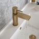The Tap Factory Vibrance Brushed Brass Mono Basin Mixer with Nickel Handle and Basin Waste