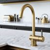 The Tap Factory Vibrance 1 Brushed Brass Single Lever Mono Kitchen Mixer with Gunmetal Handle