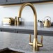 The Tap Factory Vibrance 2 Brushed Brass Twin Lever Mono Kitchen Mixer