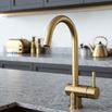 The Tap Factory Vibrance 1 Brushed Gold Single Lever Mono Kitchen Mixer