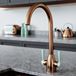 The Tap Factory Vibrance 2 Copper Twin Lever Mono Kitchen Mixer with Peppermint Handles
