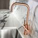 Abode Pronteau Prostyle 3 in 1 Instant Hot Water Tap - Urban Copper